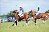 UKPA NC SAT_2610